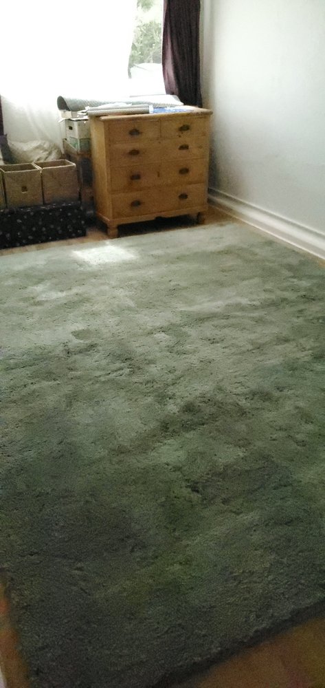 Photo of Sparkling Carpets