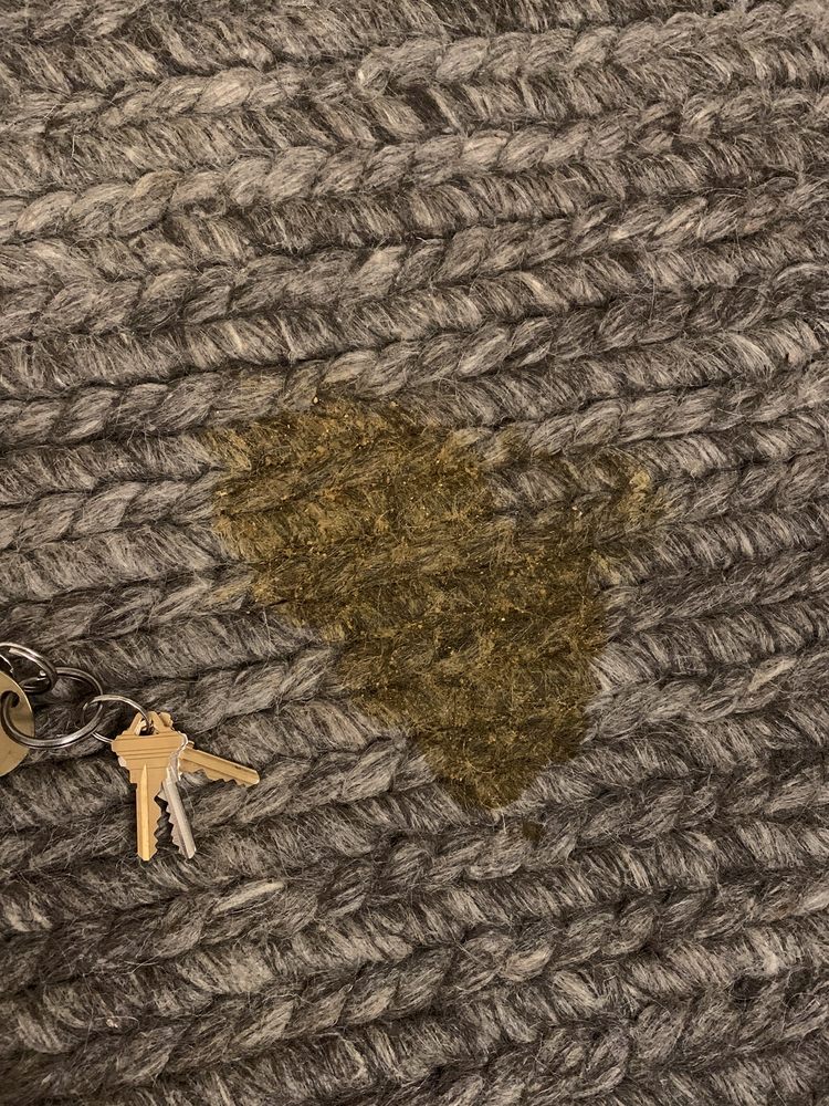 Photo of Sparkling Carpets