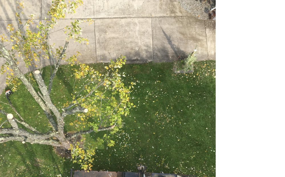 Photo of JD Landscaping