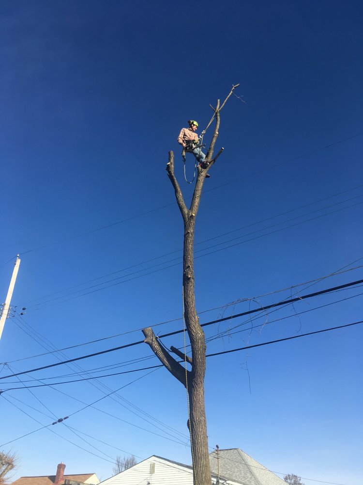 Photo of JD Landscaping