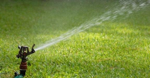 Photo of Escobar Landscape & Irrigation
