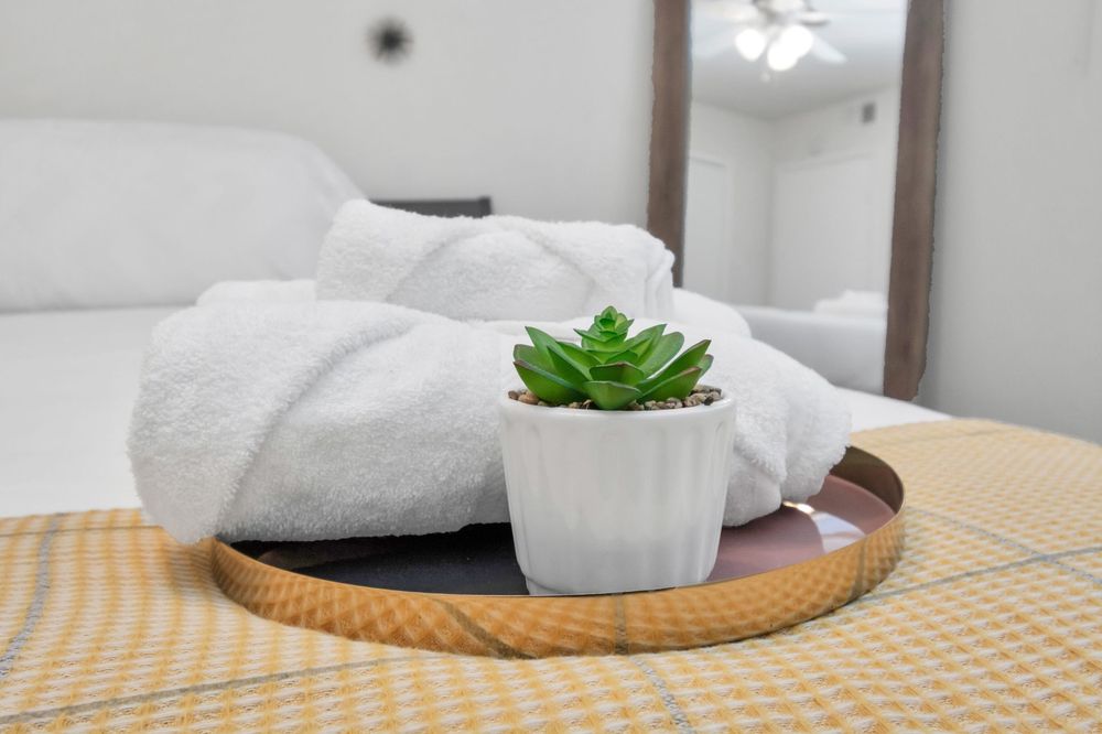Photo of Deep Cleaning Services Texas