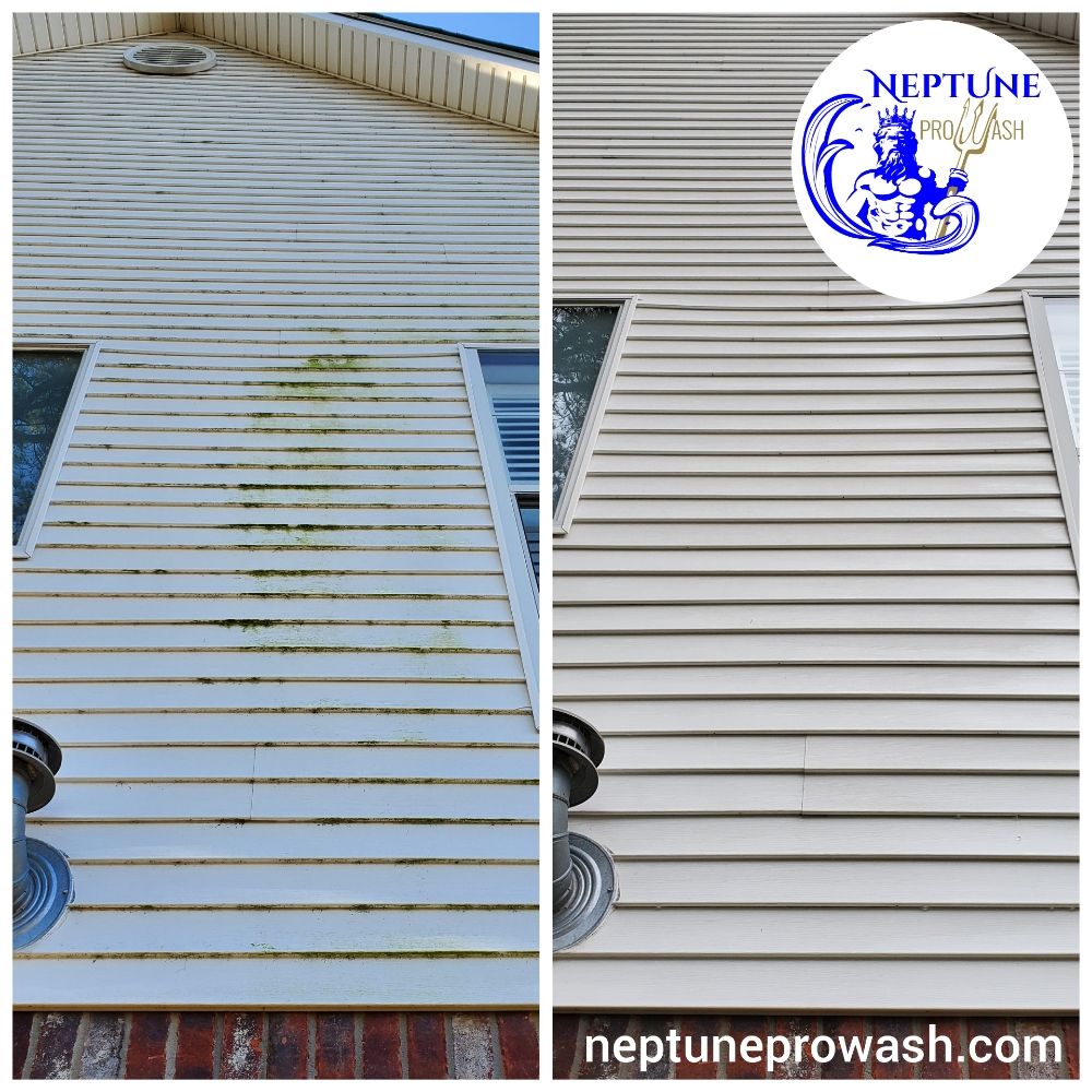 Photo of Neptune ProWash