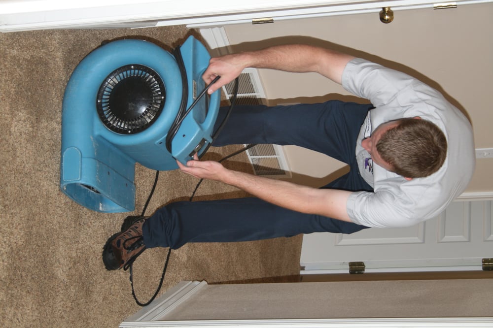 Photo of Alpine Cleaning & Restoration