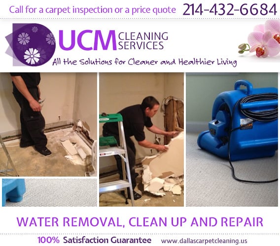 Photo of UCM Carpet Cleaning
