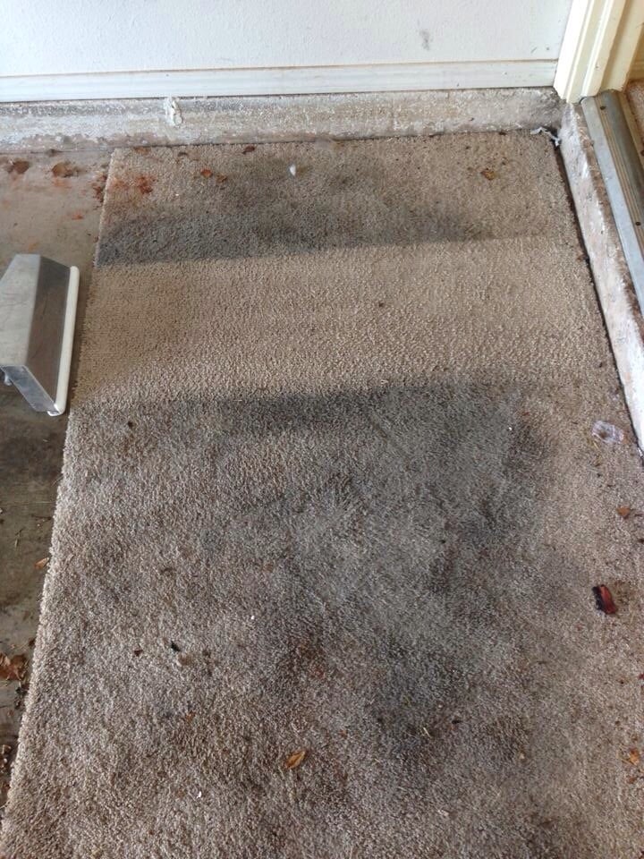 Photo of Exceptional Carpet Cleaning