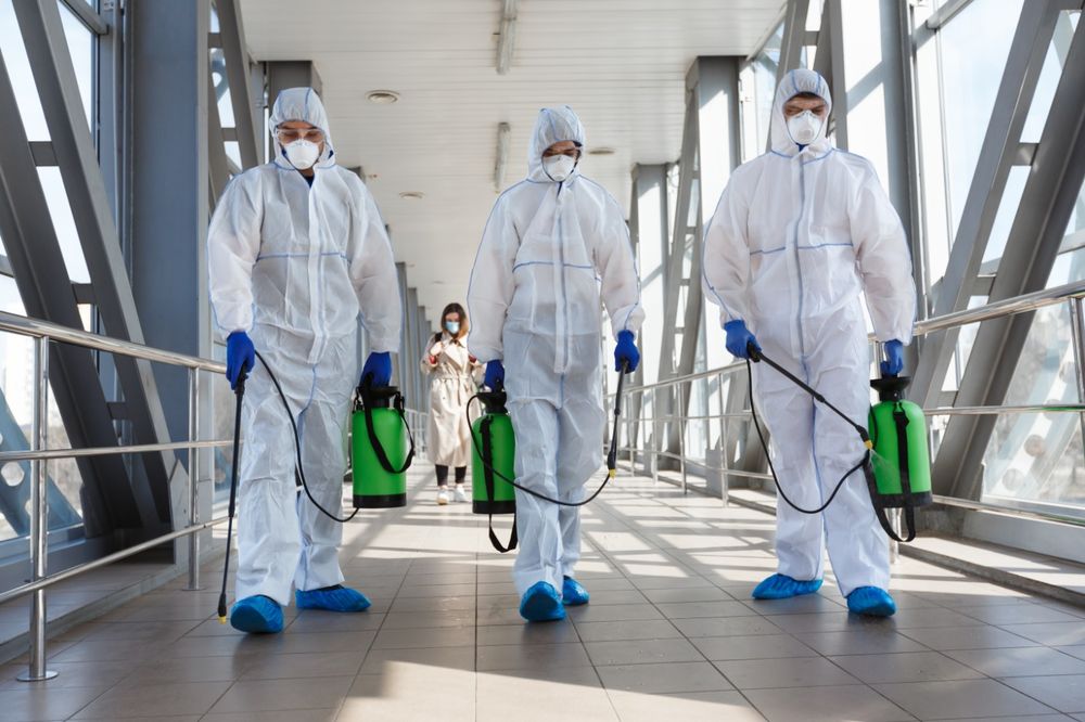Photo of Lily-White Cleaning Services
