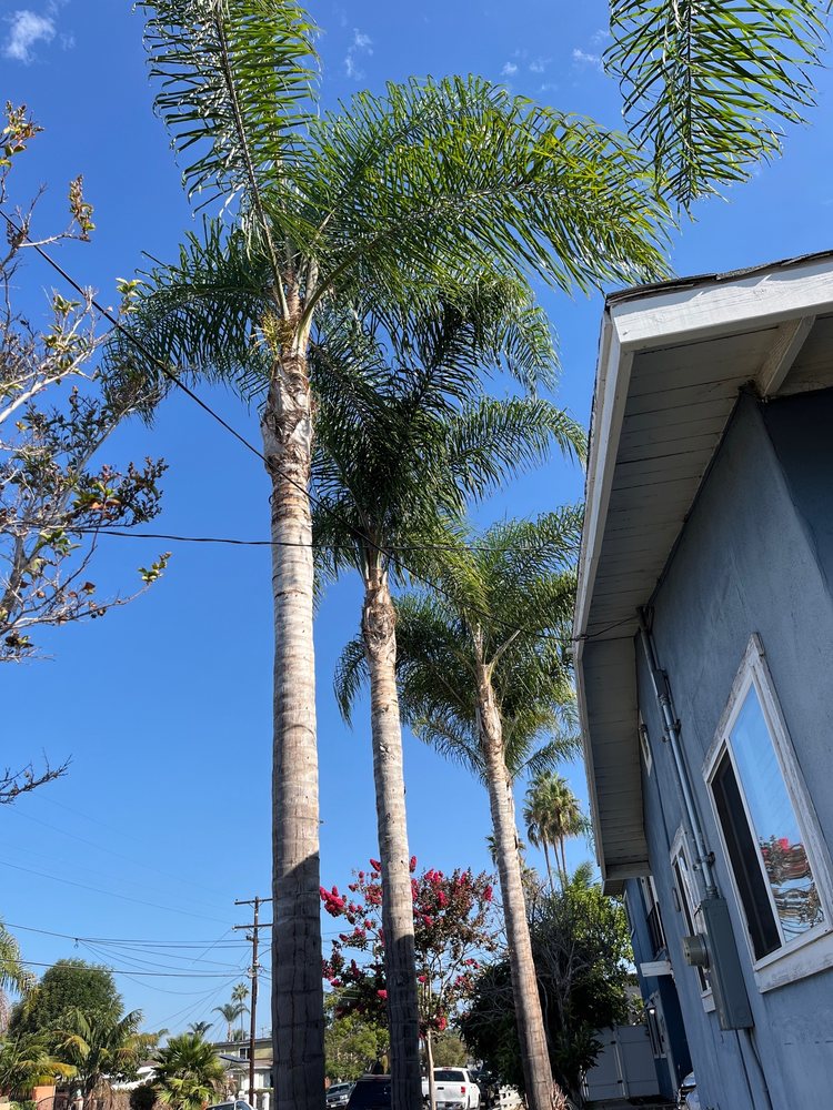 Photo of Arrow Real Estate