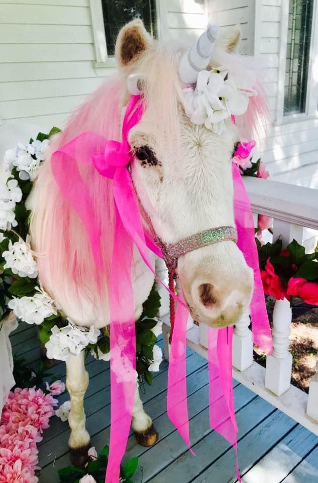 Photo of Peace Love & Ponies