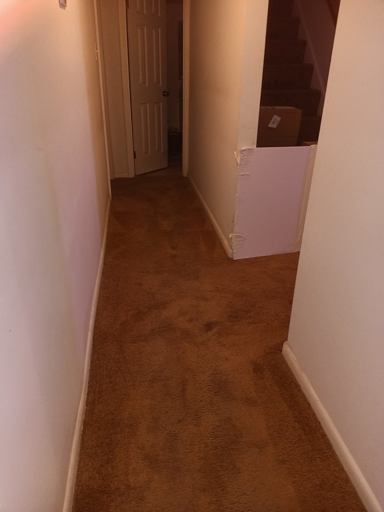 Photo of Economical Carpet Care