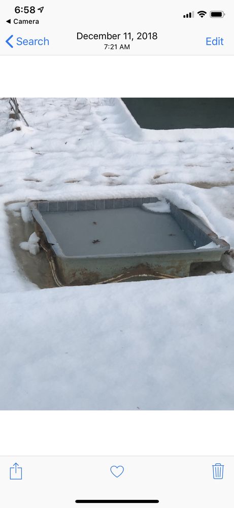 Photo of The Pool Guyz