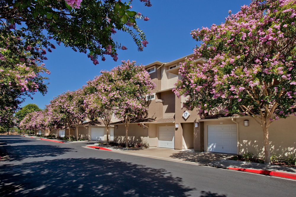 Photo of Park Sierra at Iron Horse Trail Apartments
