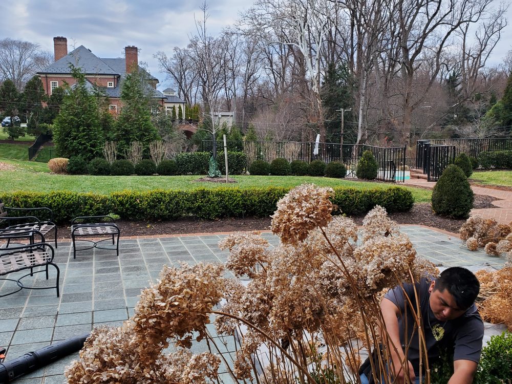 Photo of Green Estates Landscape & Garden