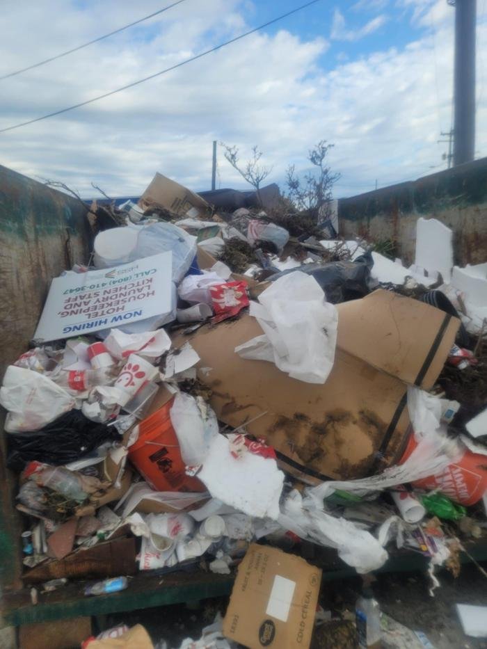 Photo of P and P Junk Removal and Demolition Services
