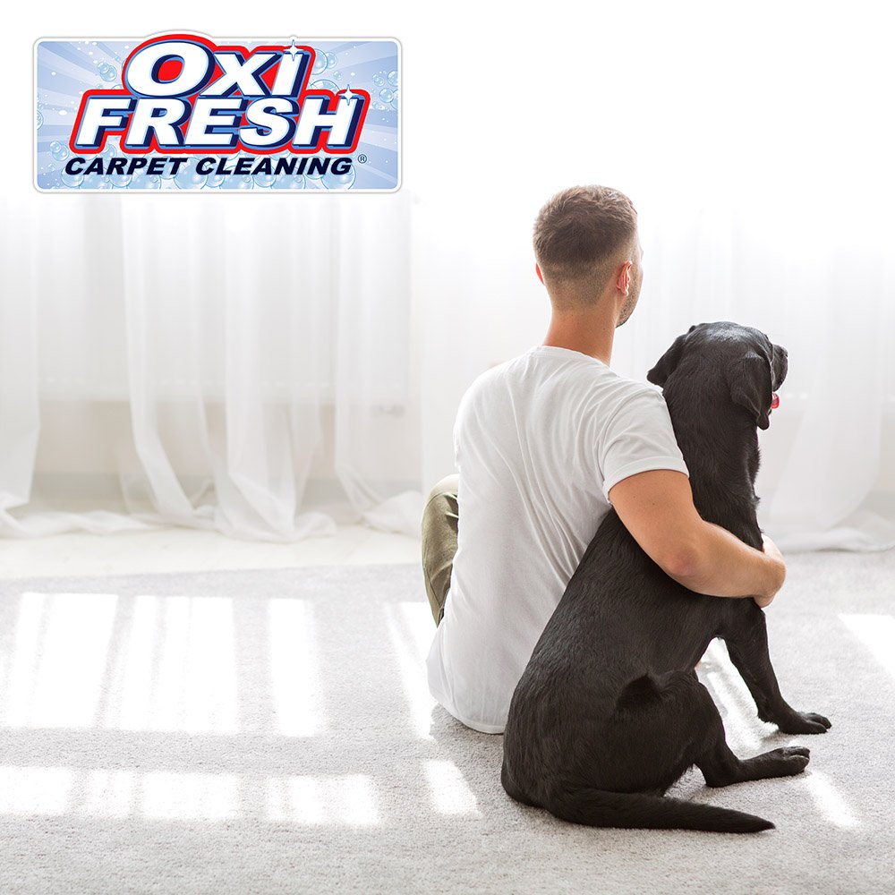 Photo of Oxi Fresh Carpet Cleaning
