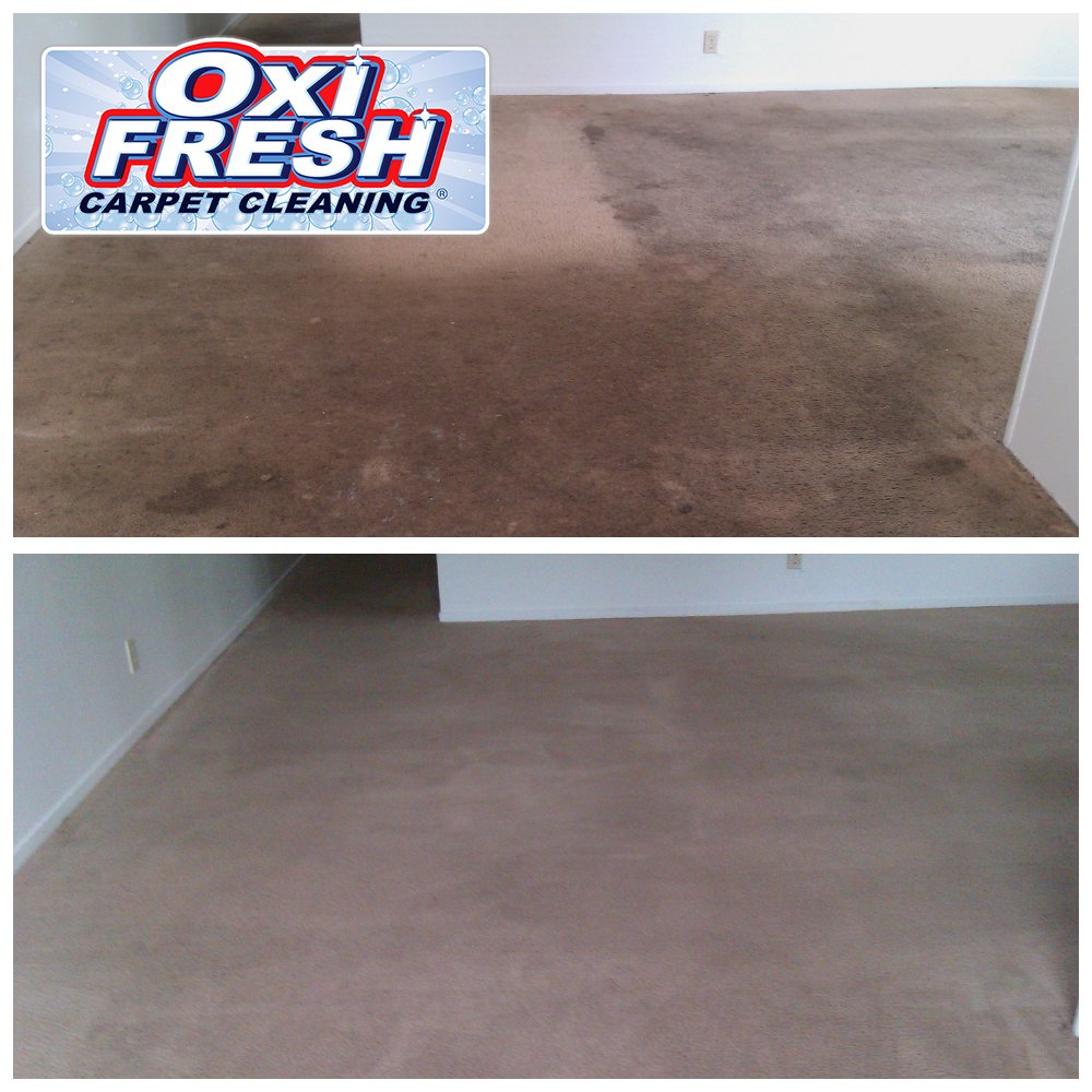 Photo of Oxi Fresh Carpet Cleaning