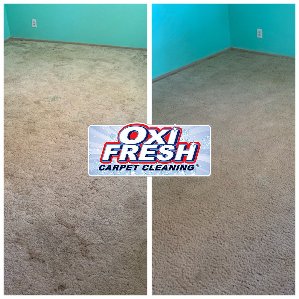 Photo of Oxi Fresh Carpet Cleaning