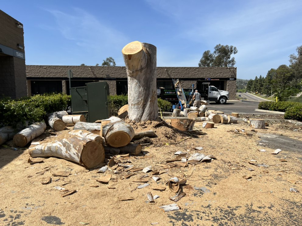 Photo of Junkyard Hauling