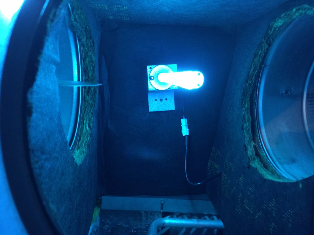 Photo of Go Green Services
