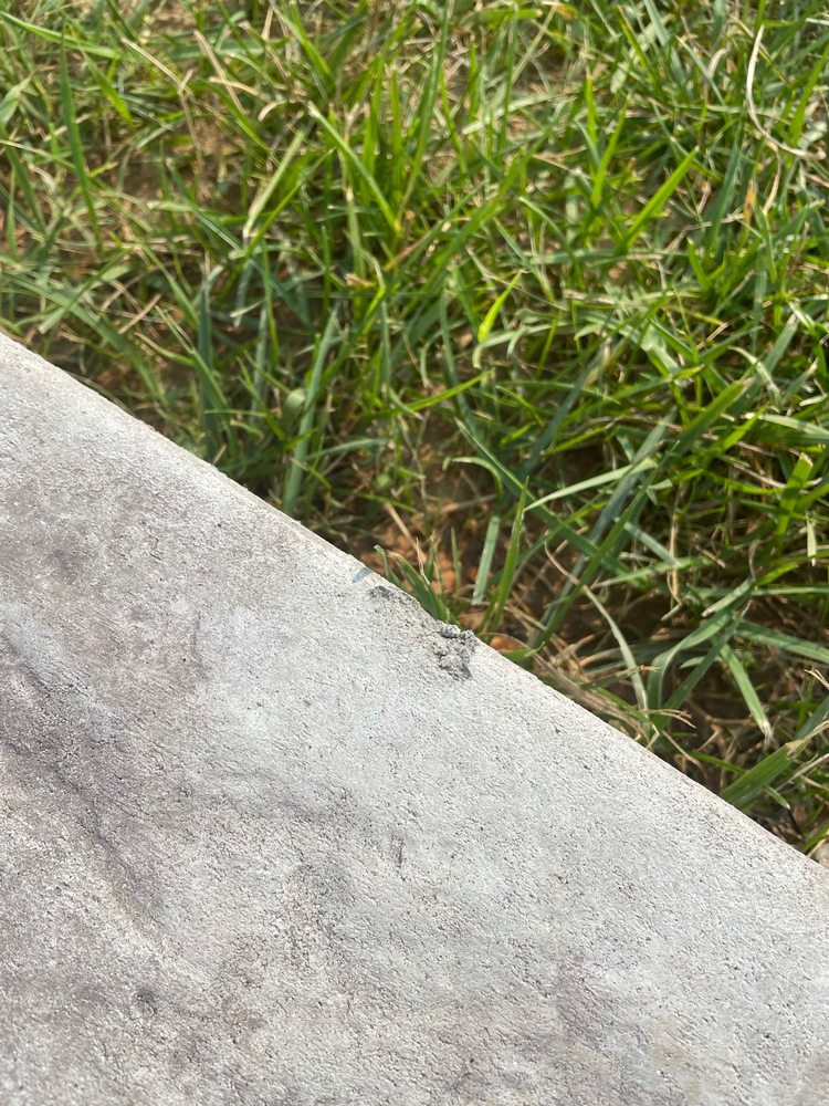 Photo of DB Concrete Services