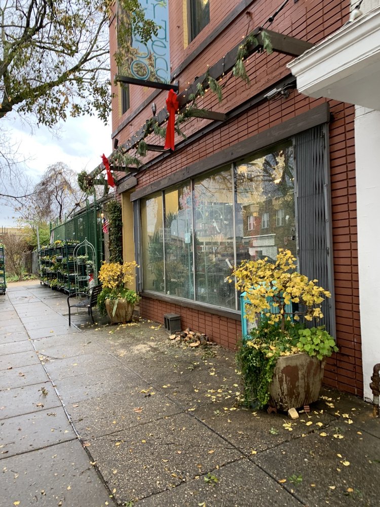 Photo of Ginkgo Gardens
