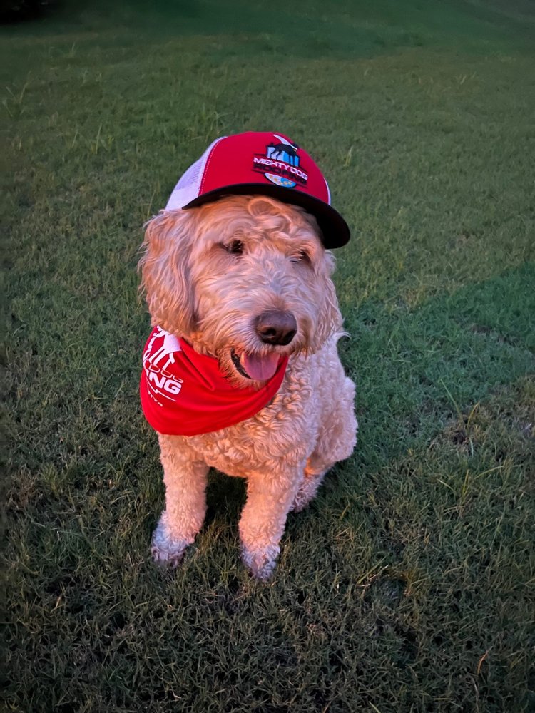 Photo of Mighty Dog Roofing of North Atlanta