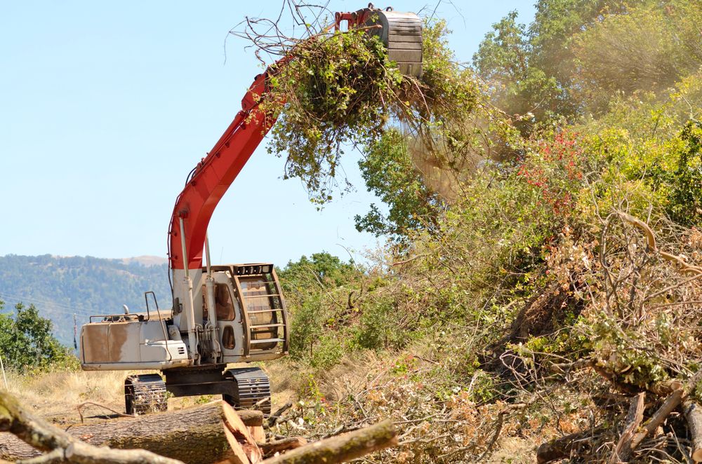Photo of Parker Land Clearing