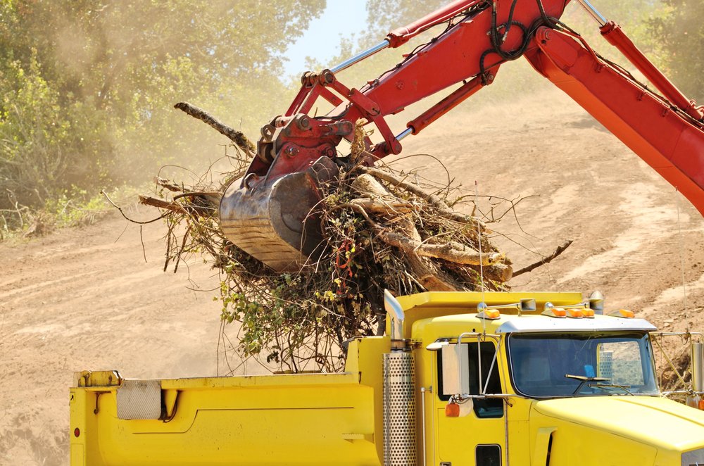 Photo of Parker Land Clearing