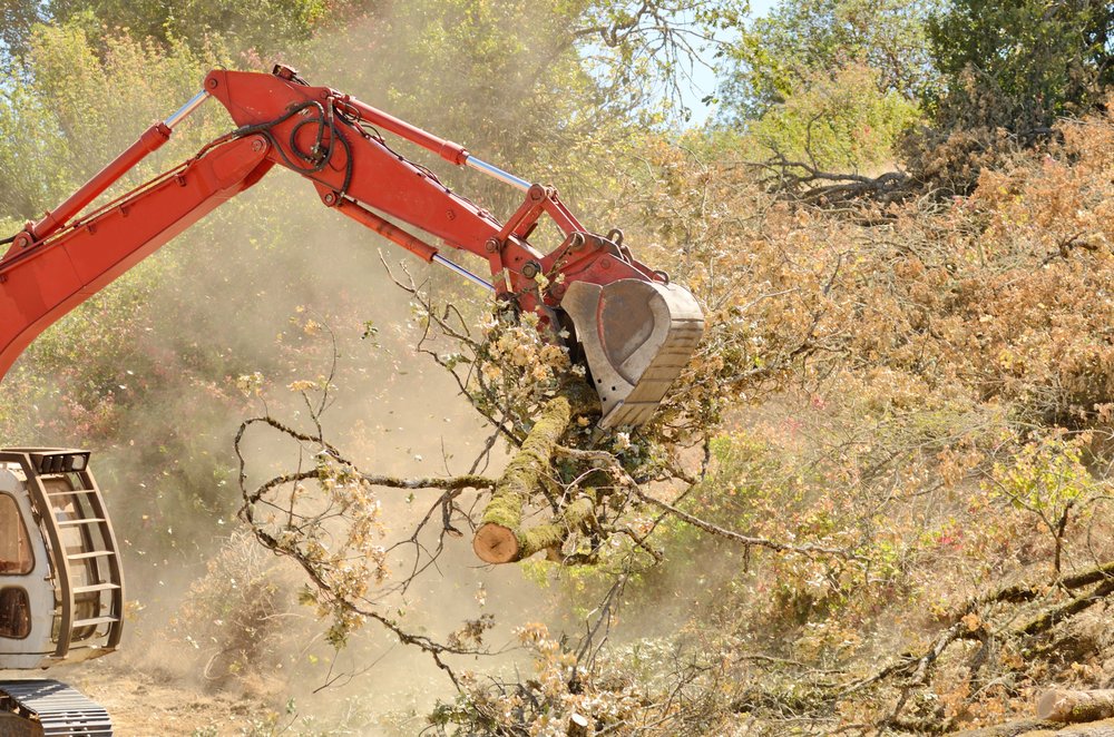 Photo of Parker Land Clearing