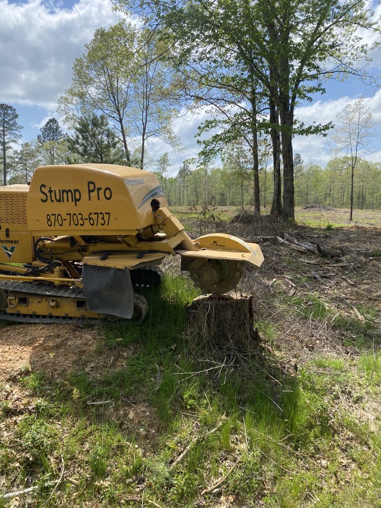 Photo of Stump Pro Grinding