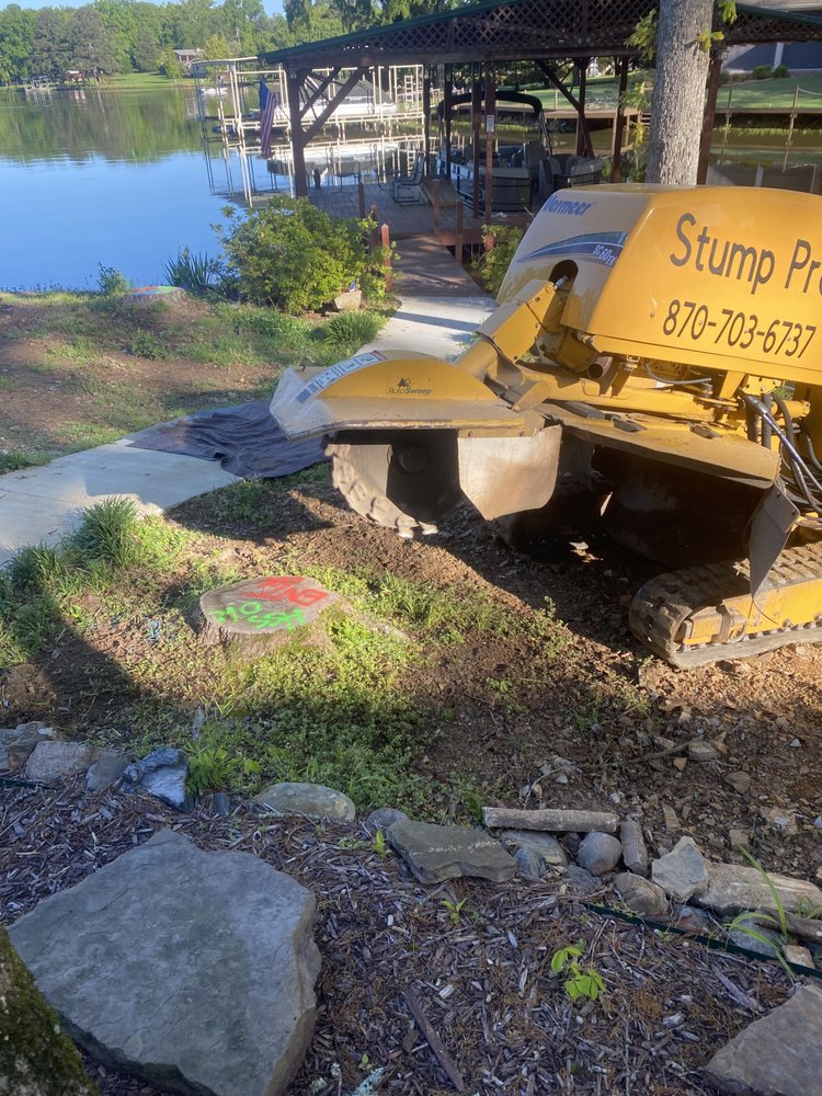 Photo of Stump Pro Grinding