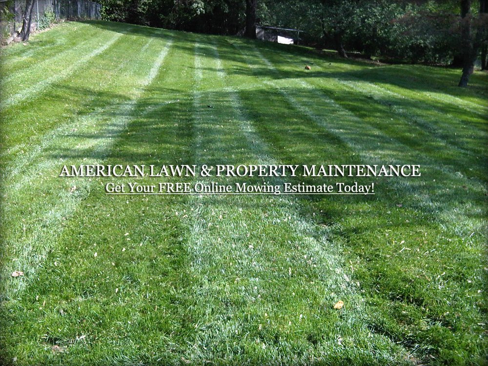 Photo of American Lawn and Property Maintenance