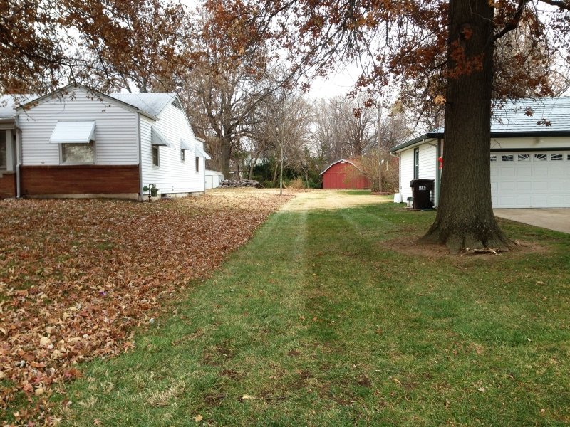 Photo of American Lawn and Property Maintenance