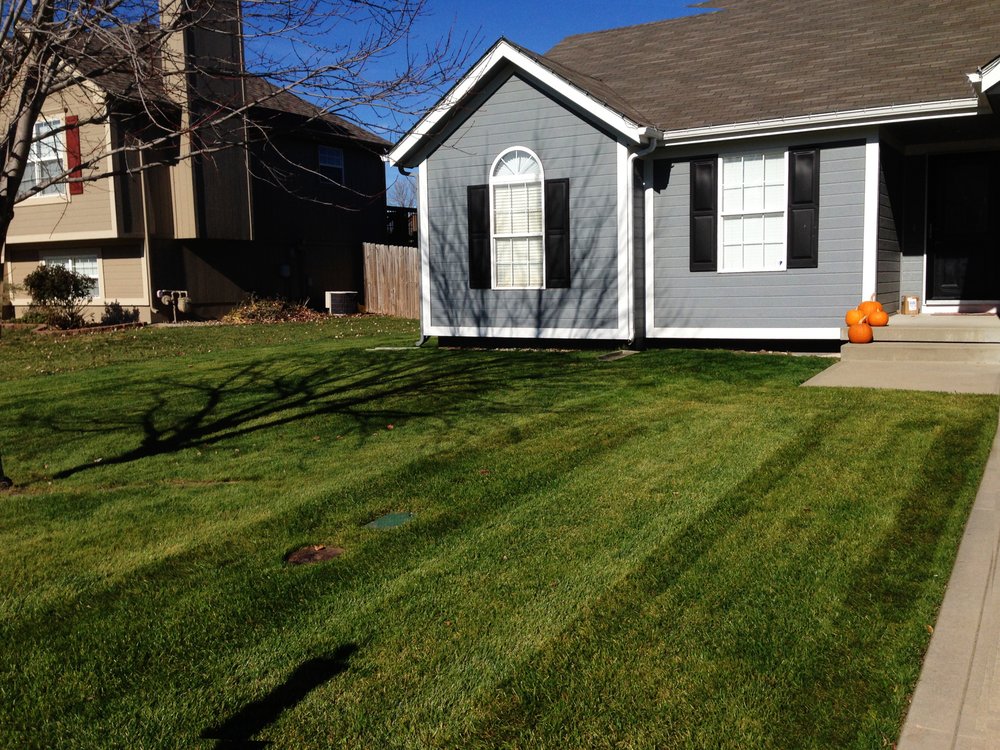 Photo of American Lawn and Property Maintenance