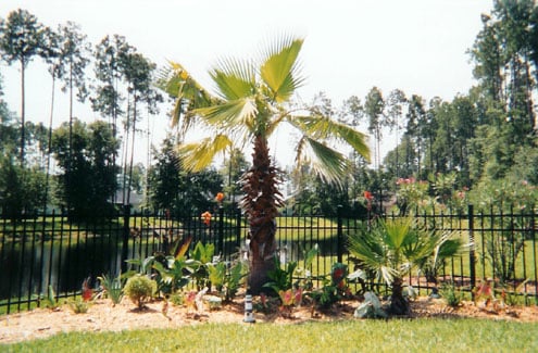 Photo of Landscape Remedies
