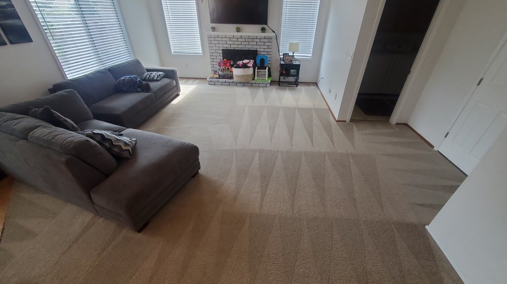 Photo of Five Star Chem-Dry Upholstery & Carpet Cleaning