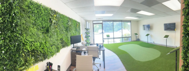 Photo of Artificial Turf Store