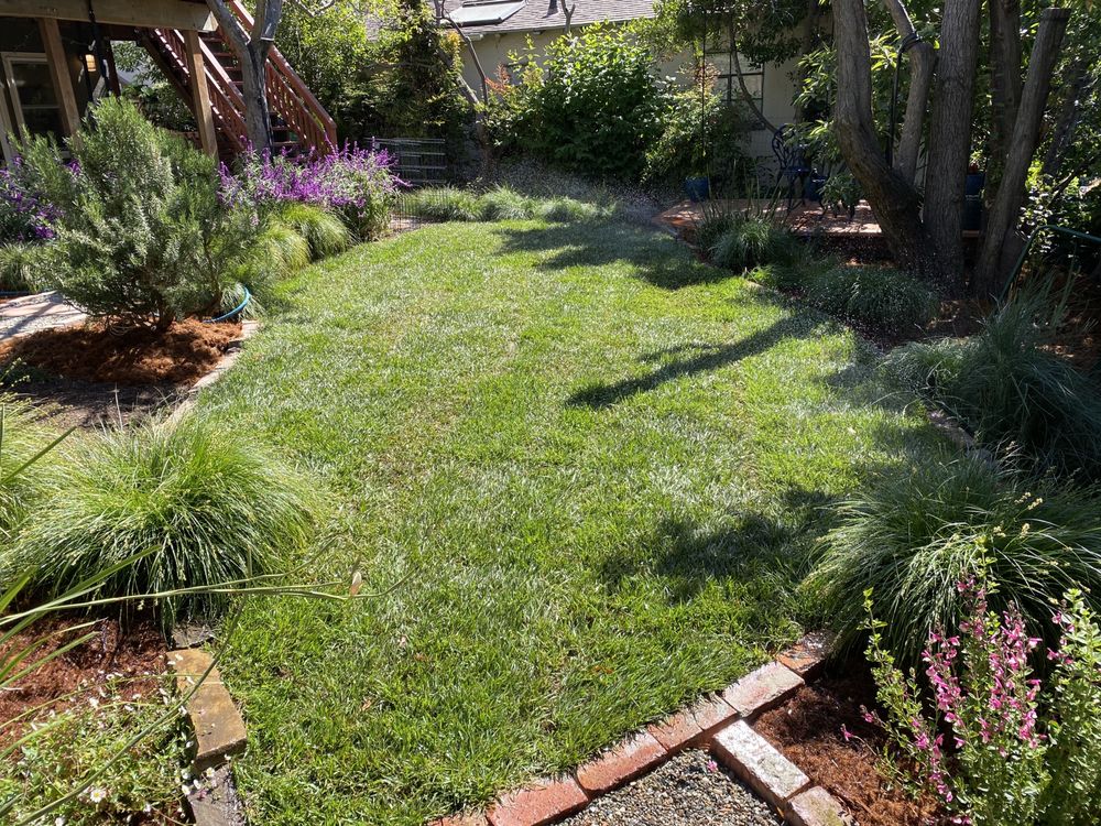 Photo of Ecopacha Landscaping