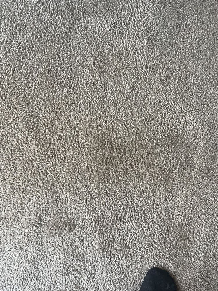 Photo of TopShelf Carpet and Tile Care