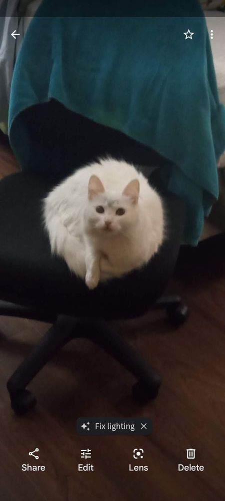 Photo of Punkin Cleaning Services