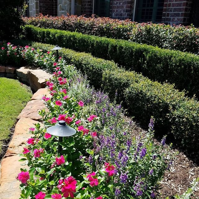 Photo of JMAS Texas Lawn Care