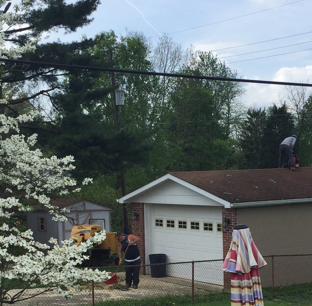 Photo of All In One Tree Service