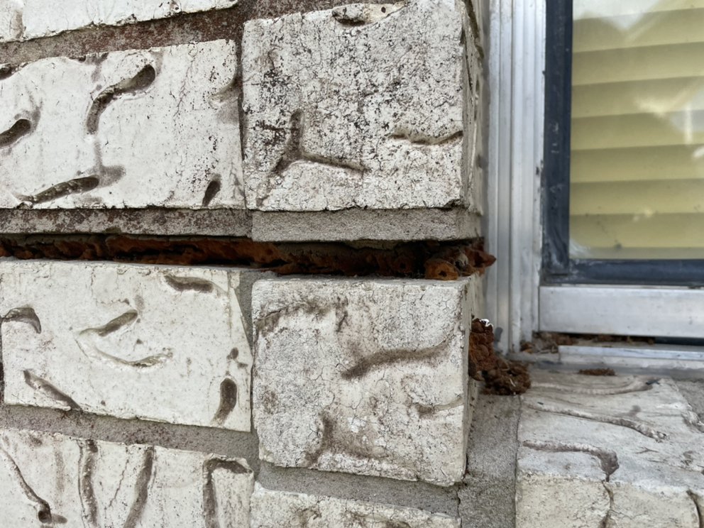 Photo of Done Right Foundation Repair - Houston