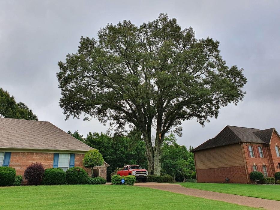 Photo of Hart Exterior Services