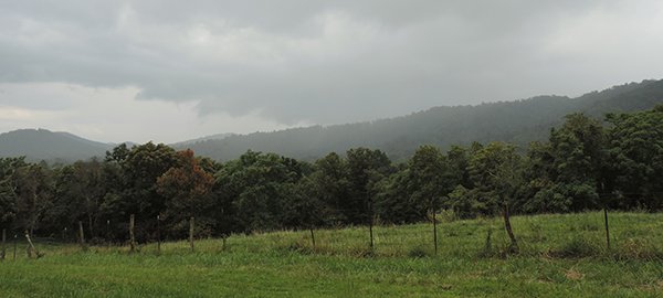 Photo of Commonwealth Land