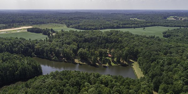Photo of Commonwealth Land
