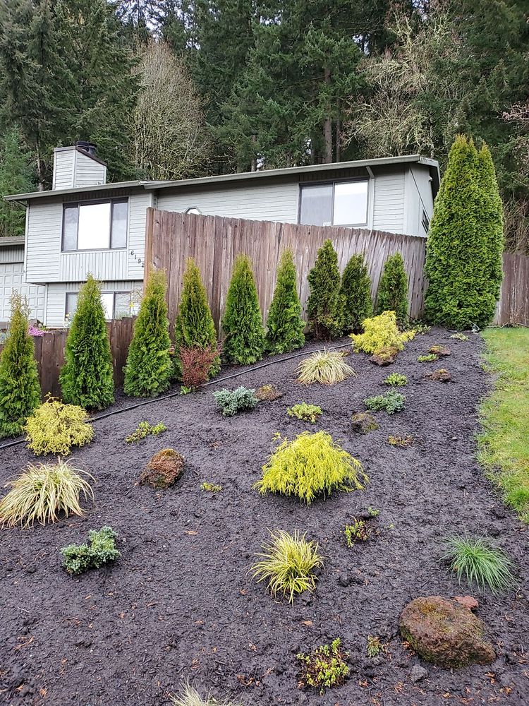 Photo of M Pruning Landscaping