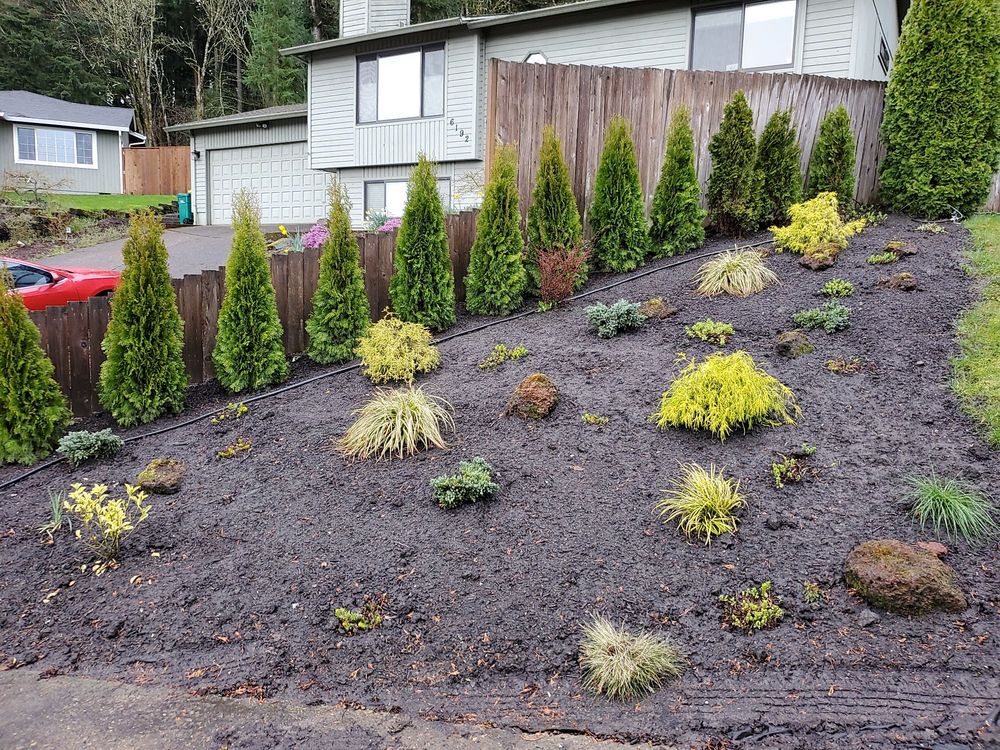 Photo of M Pruning Landscaping