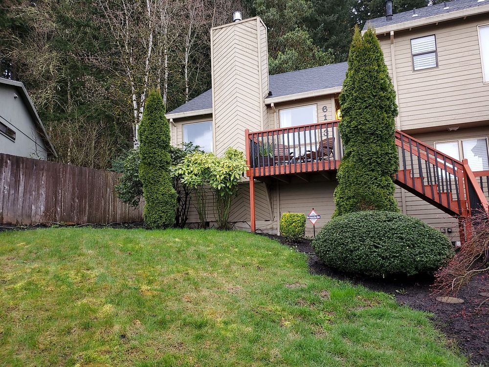 Photo of M Pruning Landscaping