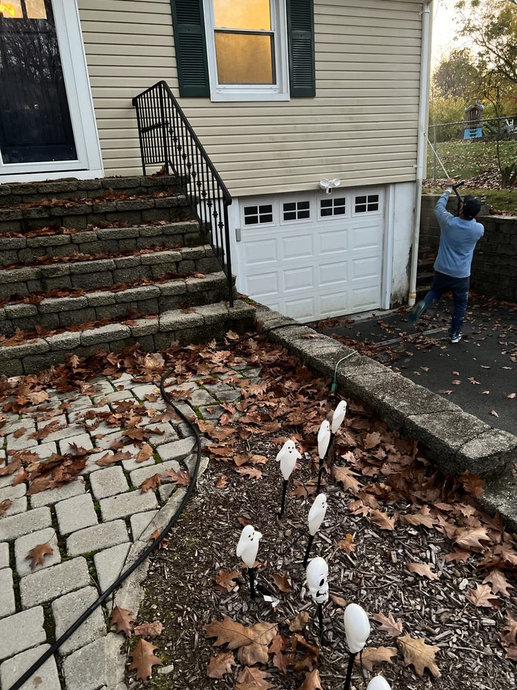 Photo of JX Power Washing & House Cleaning Services